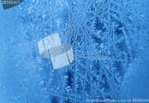 Image of Ice pattern on winter glass