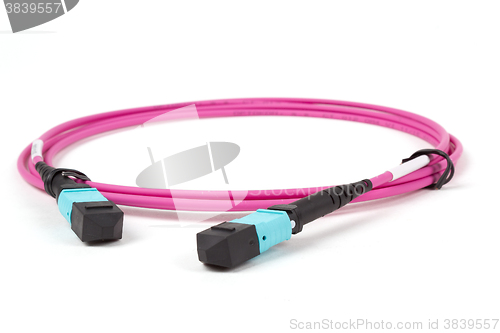 Image of fiber optic MTP (MPO) pigtail, patchcord connectors