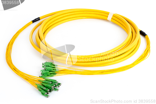 Image of fiber optic E2 (LSH) pigtail, patchcord