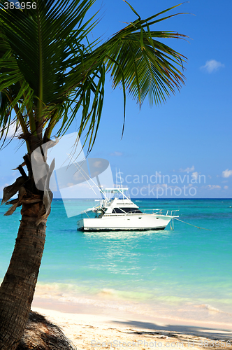 Image of Tropical beach