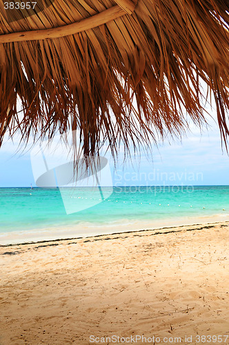 Image of Tropical beach