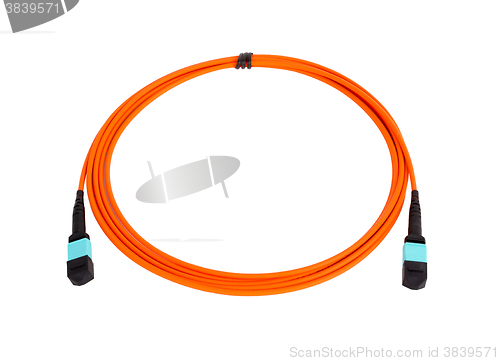 Image of fiber optic MTP (MPO) pigtail, patchcord connectors