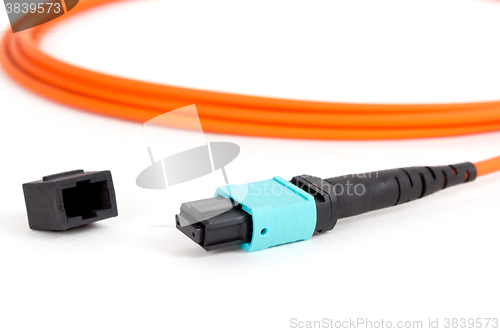 Image of fiber optic MTP (MPO) pigtail, patchcord connectors