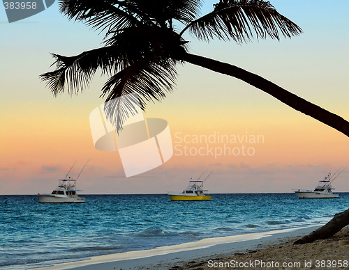 Image of Tropical beach at sunset