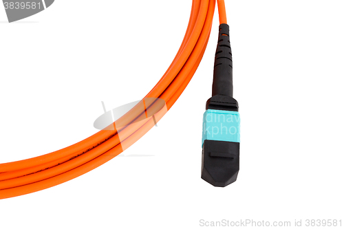 Image of fiber optic MTP (MPO) pigtail, patchcord connectors