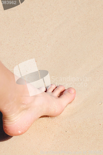 Image of Foot on sandy beach