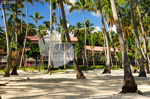 Image of Hotel at tropical resort