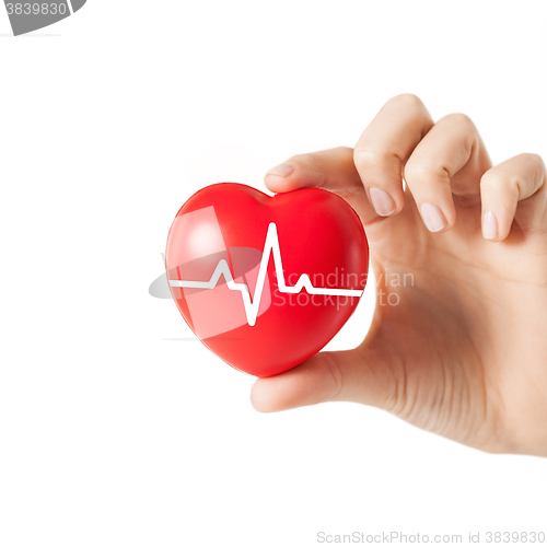 Image of close up of hand with cardiogram on red heart