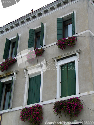 Image of windows