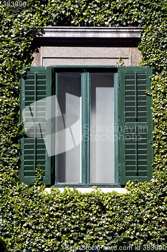 Image of Window