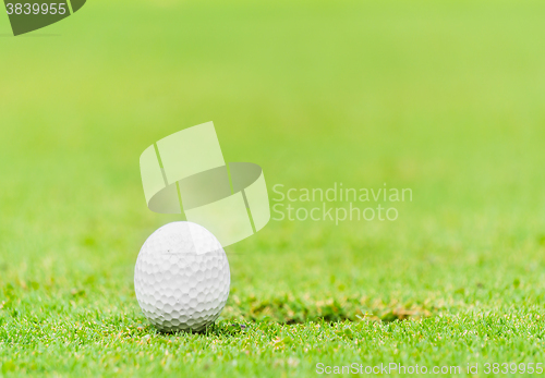 Image of Golf Ball