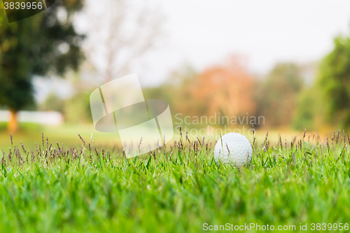 Image of Golf Ball