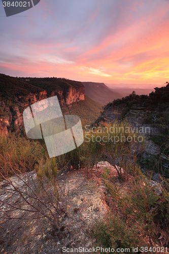 Image of Spectacular views into Nellies Glen from Katoomba