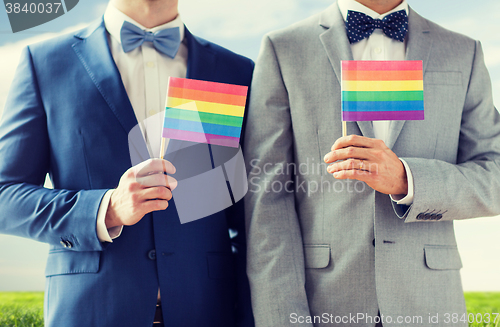 Image of close up of male gay couple holding rainbow flags