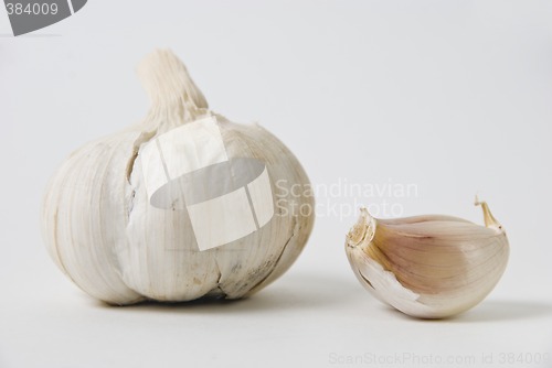 Image of Garlic