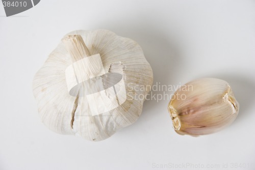 Image of Garlic