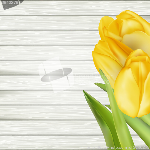 Image of Yellow tulips. EPS 10