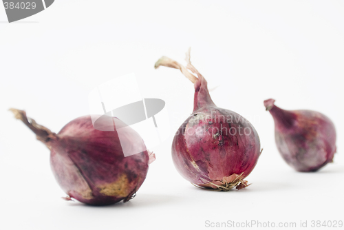 Image of Onion