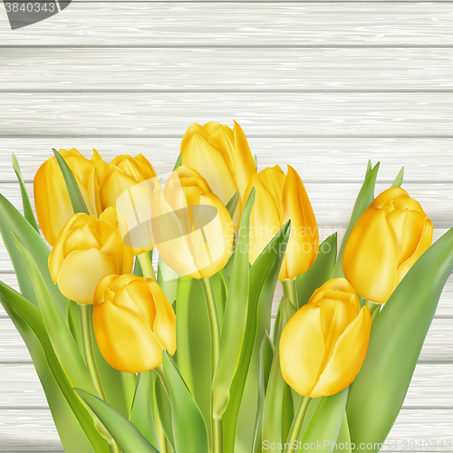 Image of Yellow tulips. EPS 10