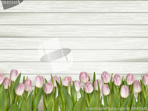 Image of Pink tulips on wooden background. EPS 10