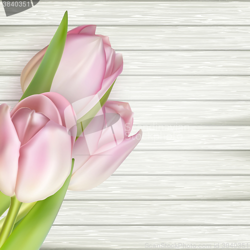 Image of Pink tulips over white wood. EPS 10 