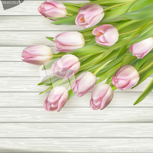 Image of Beautiful pink tulips. EPS 10