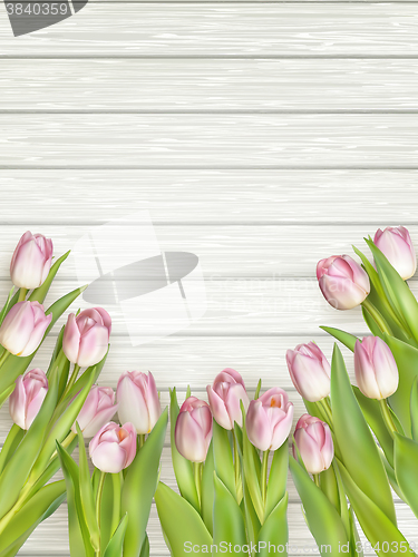 Image of Beautiful pink tulips. EPS 10