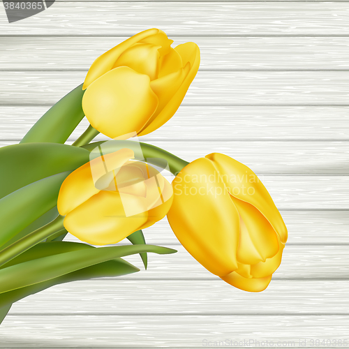 Image of Yellow tulips. EPS 10