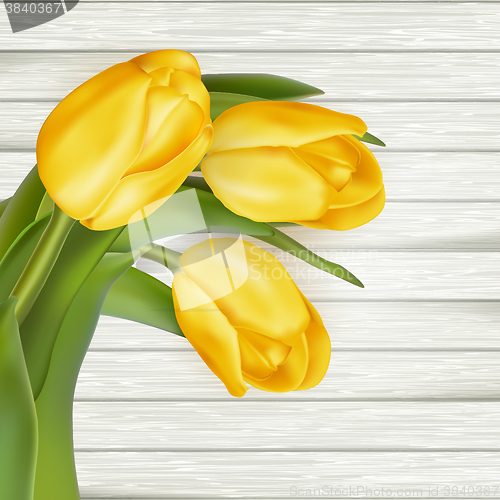 Image of Yellow tulips. EPS 10