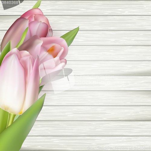 Image of Pink tulips border. EPS 10