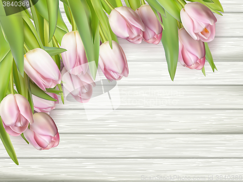 Image of Color tulips on wooden background. EPS 10