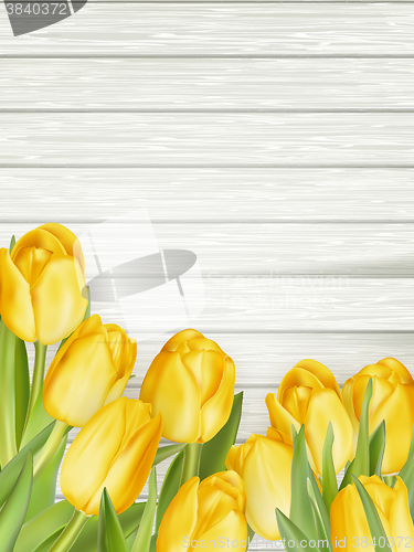 Image of Yellow tulips. EPS 10