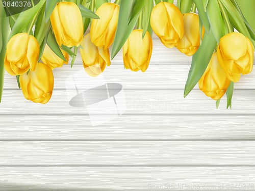 Image of Yellow tulips. EPS 10