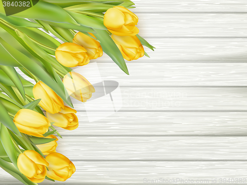 Image of Yellow tulips. EPS 10