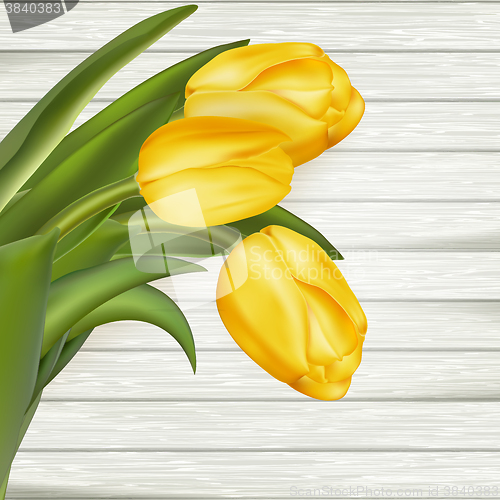 Image of Yellow tulips. EPS 10