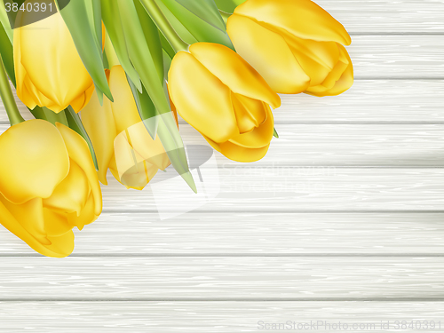 Image of Yellow tulips. EPS 10