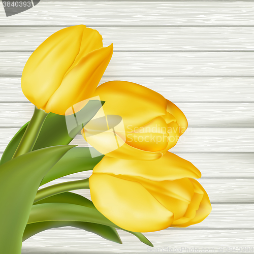 Image of Yellow tulips. EPS 10