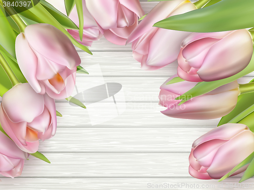 Image of Beautiful pink tulips. EPS 10