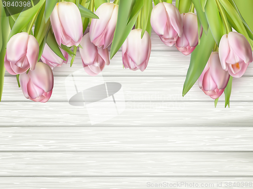 Image of Beautiful pink tulips. EPS 10