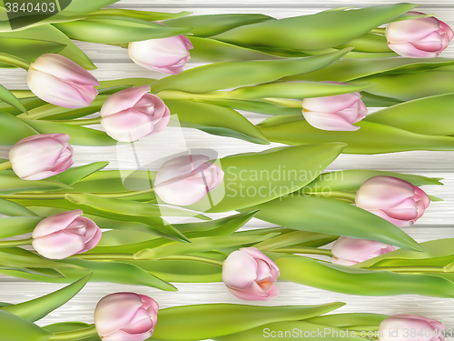 Image of Tulip on the wooden background. EPS 10