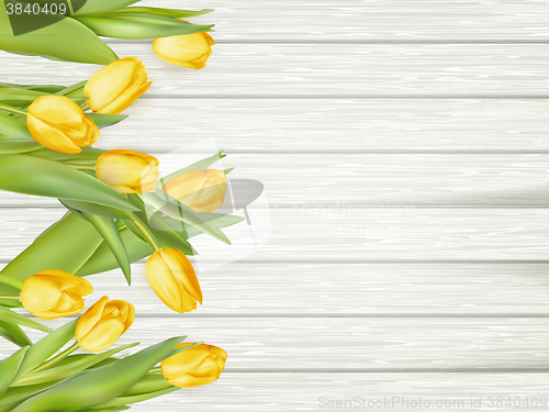 Image of Yellow tulips. EPS 10