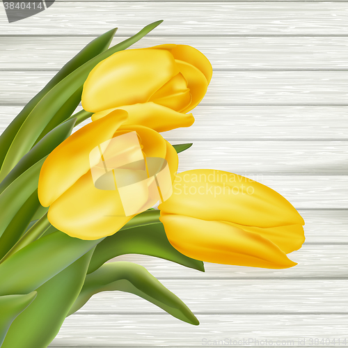 Image of Yellow tulips. EPS 10