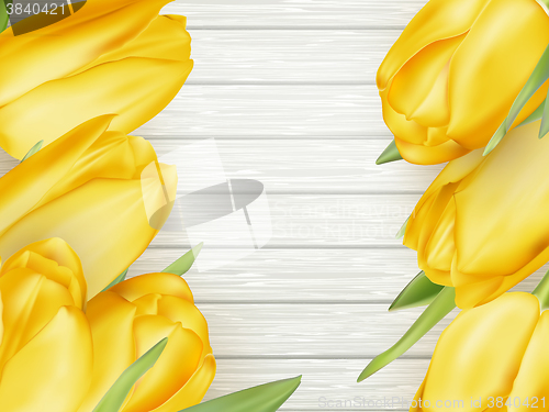 Image of Yellow tulips. EPS 10