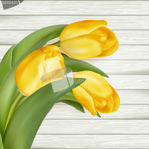Image of Yellow tulips. EPS 10