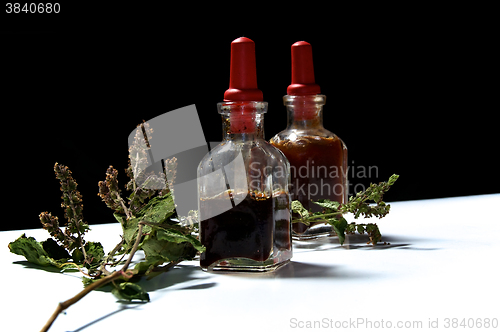 Image of two glass bottles with herbal extracts and dried patchouli floew