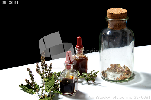 Image of three glass bottles with herbal extracts and patchouli branch