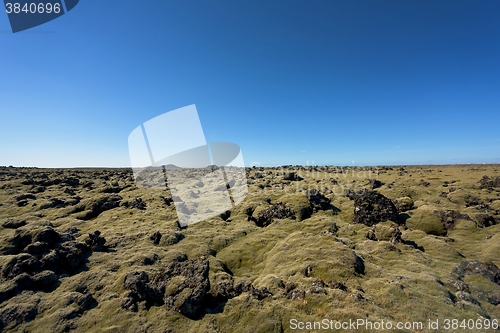 Image of Iceland lava field covered with green moss