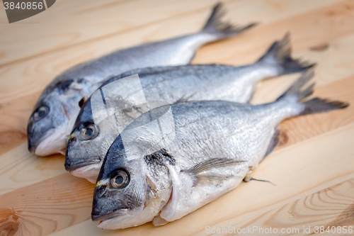 Image of Cooking fish on the grill