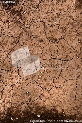 Image of Dry soil closeup