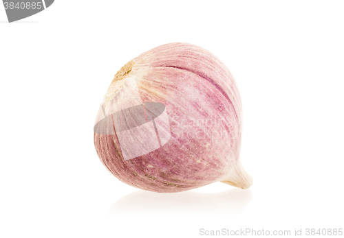Image of Raw garlic (small) isolated